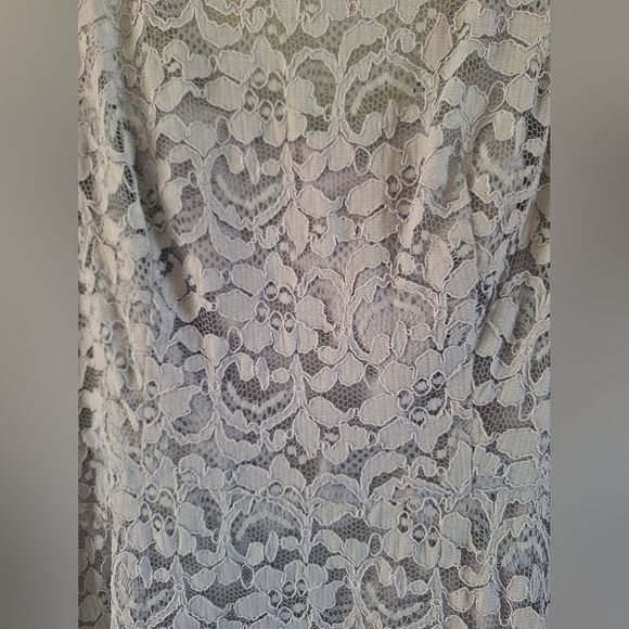 David's Bridal Short Sleeveless Illusion Lace Bridesmaid Dress Size 12 - Picture 6 of 14